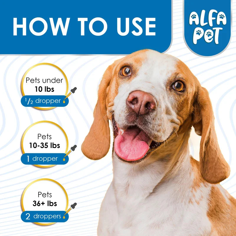 Alfa Pet Dog Cough Treatment Liquid ? Cat and Dog Cough Suppressant ? Natural Supplement for All Breeds ? Care for Breathing During All Life Cycle ? Marshmallow Root + Mullein Leaf in The Composition ? 2 Oz