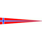Norway Flag Flag