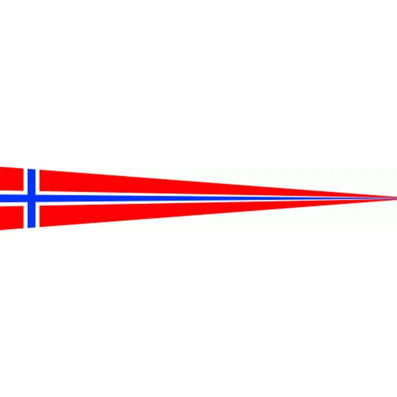 Norway Flag Flag