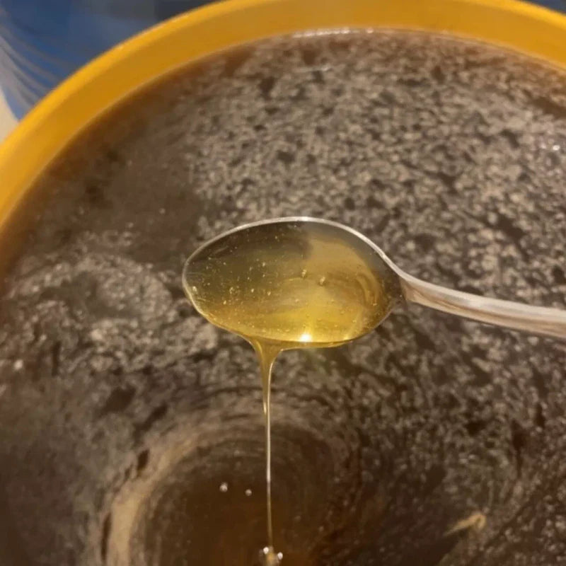 Arvoli Honey Raw Honey Bulk - 12 LB Jug - Raw Honey 1 Gallon - Raw and Unfiltered Honey